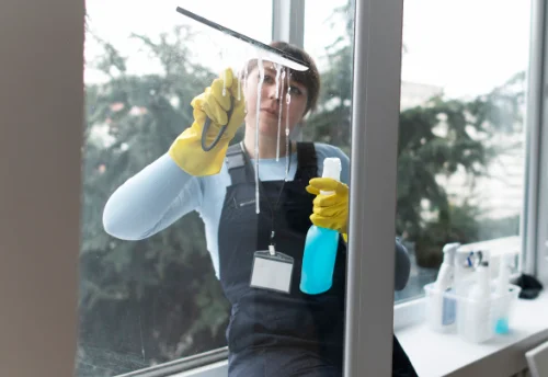 Nettoyage de vitres intérieures et extérieures à Paizay-Naudouin-Embourie